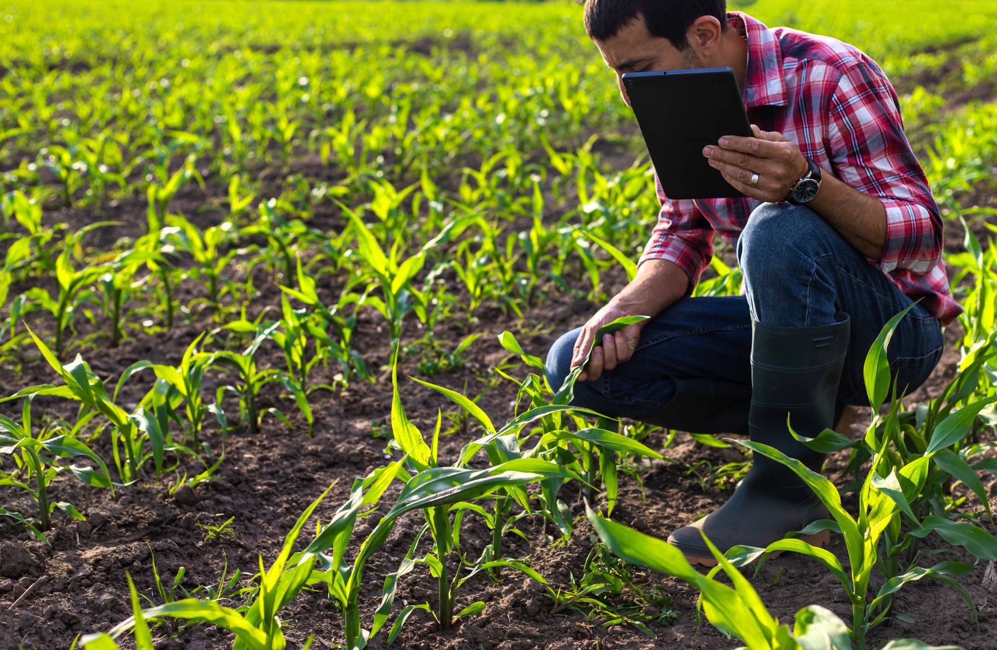 Integrated risk management platform